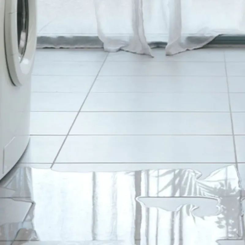 Appliance Leak Cleanup in Union, WV