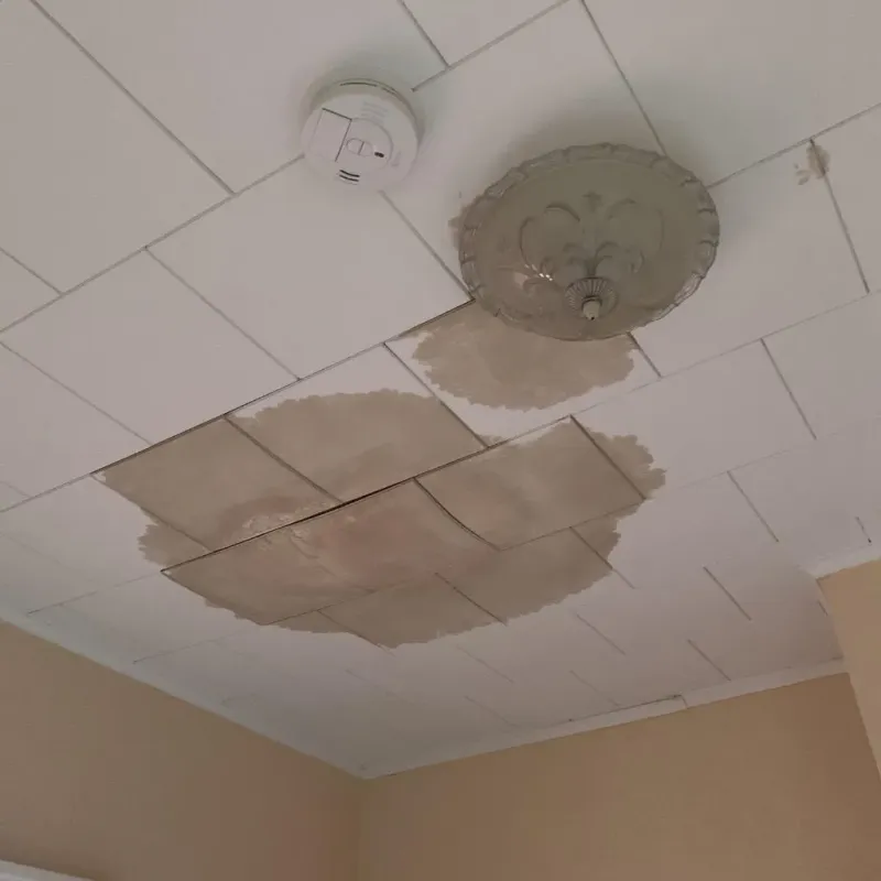 Ceiling Water Damage Repair in Union, WV