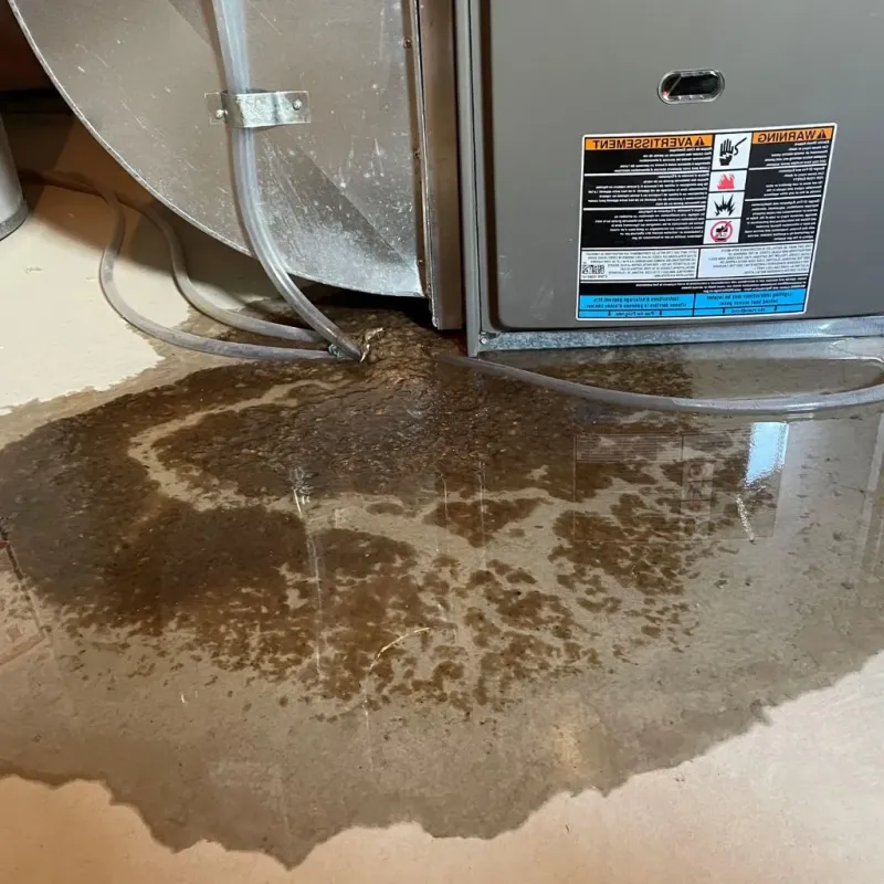 Pipe Burst and Leak Restoration in Union, WV