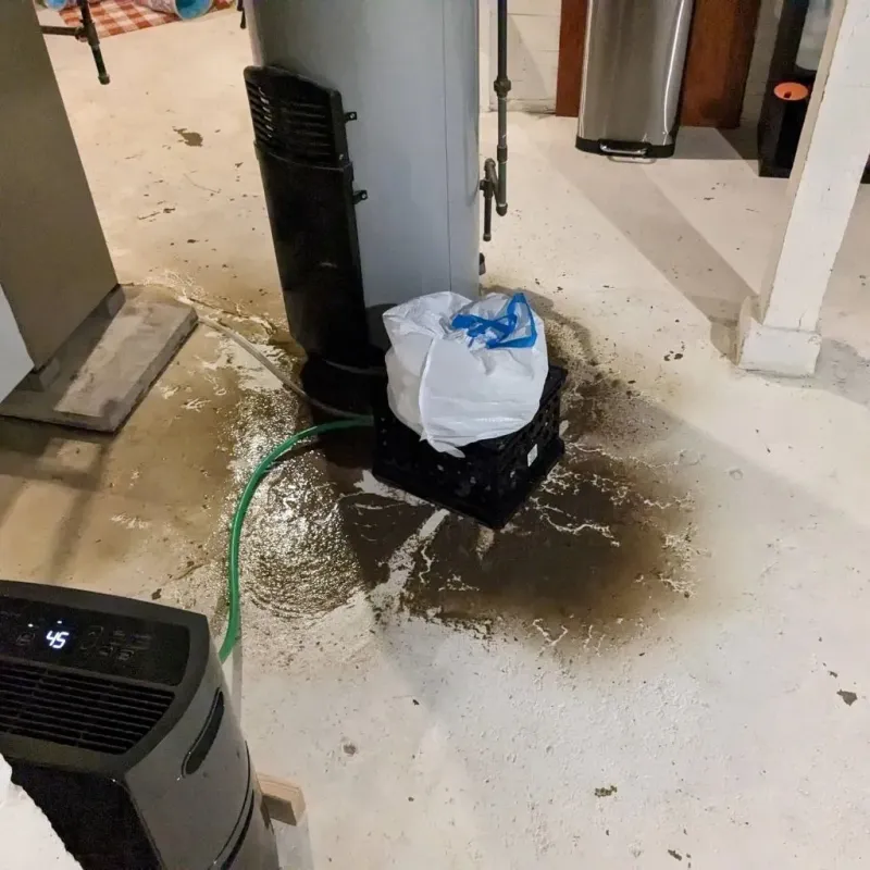 Sewage Backup Cleanup Service in Union, WV